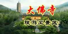 大鸡巴操屄在线中国浙江-新昌大佛寺旅游风景区